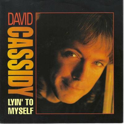 David Cassidy - Lyin' To Myself (7" Enigma Vinyl-Single)