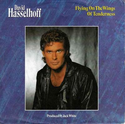 David Hasselhoff - Flying On The Wings Of Tenderness