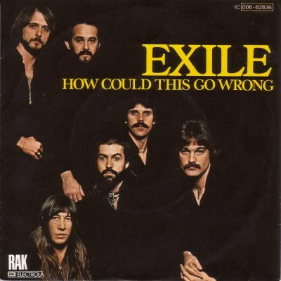 Exile - How Could This Go Wrong (7" RAK Vinyl-Single)