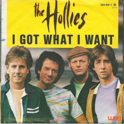 The Hollies - I Go What I Want (WEA Vinyl-Single)