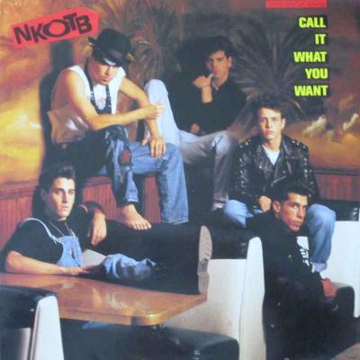 New Kids On The Block - Call It What You Want (Maxi)