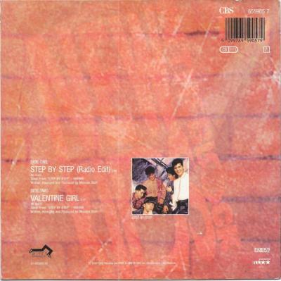 Preview: New Kids On The Block - Step By Step: Radio Edit (7