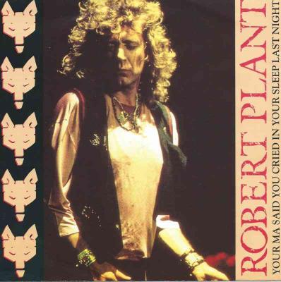 Robert Plant - Your Ma Said