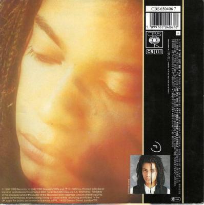 Preview: Terence Trent D'arby - If You Let Me Stay (7