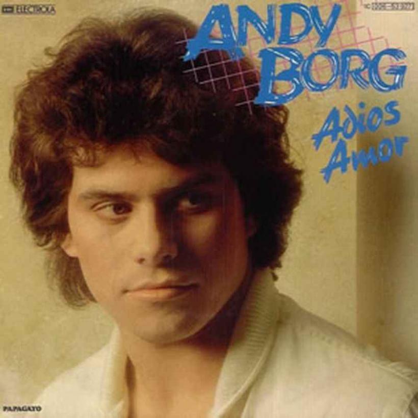 Andy Borg - Adios Amor (Vinyl-Single Germany 1982)