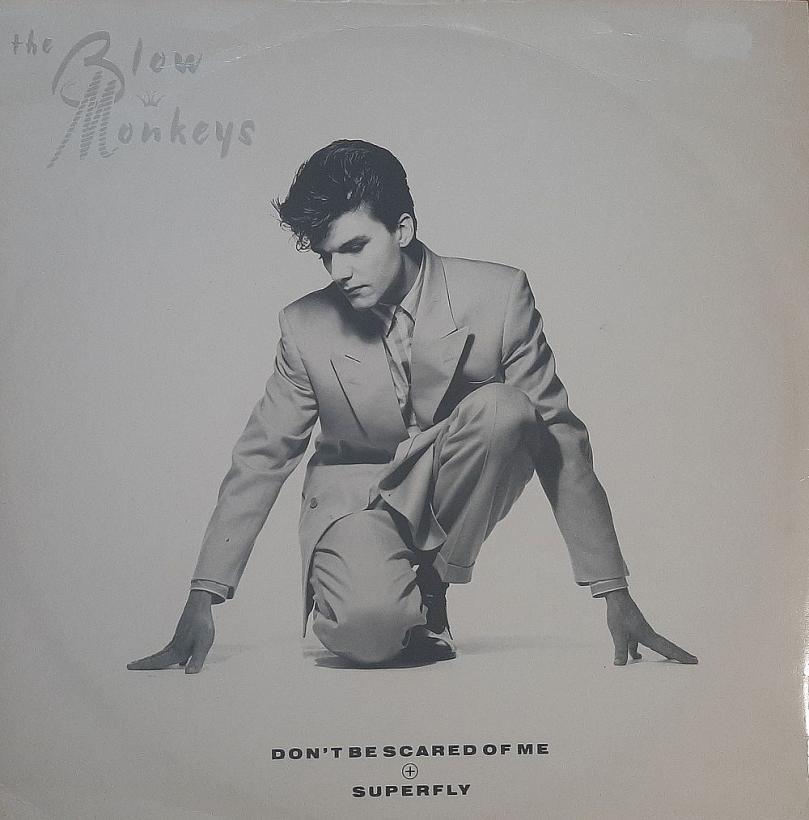 The Blow Monkeys - Don't Be Scraed Of Me (12" RCA Maxi UK)