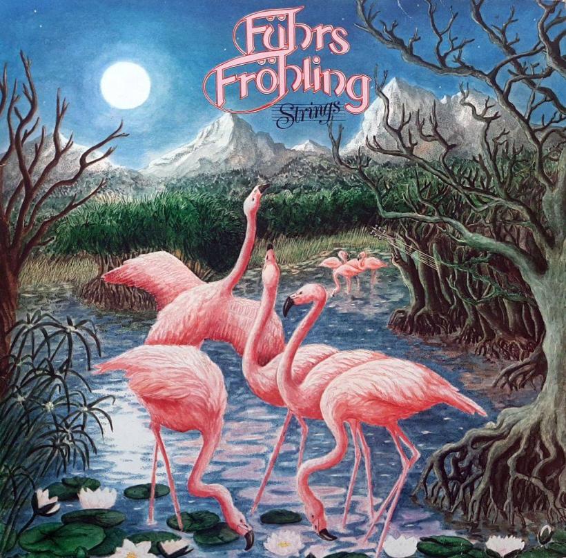 Führs & Fröhling - Strings (Brain Vinyl-LP Germany)