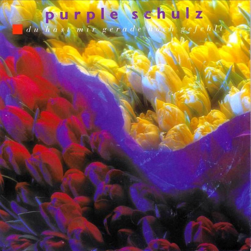 Purple Schulz - Du hast mir gerade noch gefehlt (7")