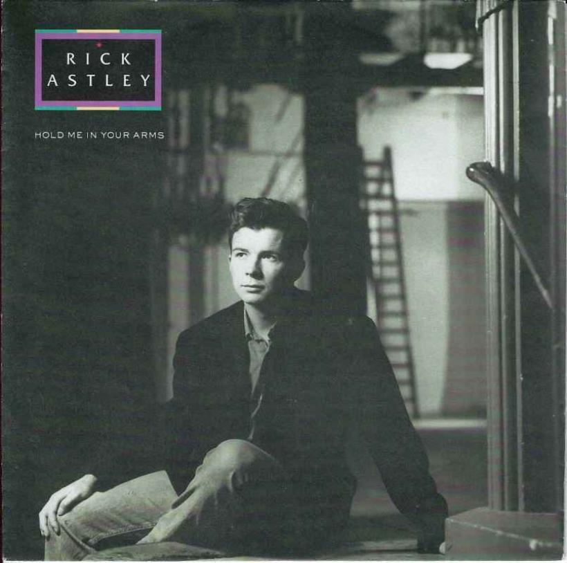 Rick Astley - Hold Me In Your Arms (7" RCA Vinyl-Single)