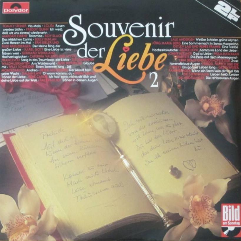 Souvenir der Liebe - 30 bekannte Schlager: Folge 2 (DLP)