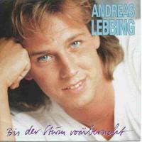 Andreas Lebbing - Bis der Sturm vorüberzieht (Single)