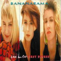 Bananarama - Love In The First Degree (7