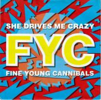 Fine Young Cannibals - She Drives Me Crazy (Single)