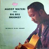 Muddy Waters - sings Big Bill Broonzy (RE Vinyl-LP USA)