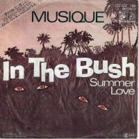 Musique - In The Bush (7