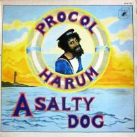 Procol Harum – A Salty Dog (RE Cube Vinyl-LP France)