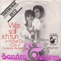 Sandra & Andres - Was soll ich tun (Hansa Vinyl-Single)