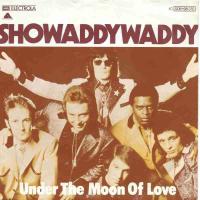 Showaddywaddy - Under The Moon Of Love (7