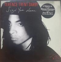 Terence Trent D'Arby - Sign Your Name (12